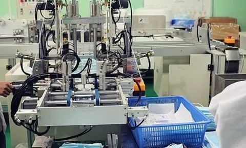 Lợi nhuận sau thuế âm, Danameco làm gì để thoát lỗ?