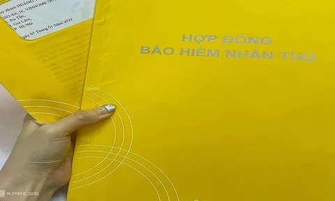 Thanh tra 4 doanh nghiệp bảo hiểm: Có tới 73% hợp đồng bảo hiểm bán qua ngân hàng bị hủy sau 1 năm
