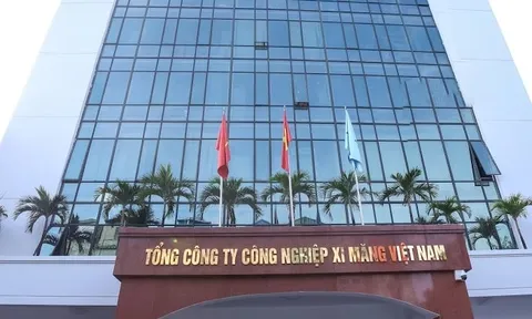 Cả loạt công ty con của Vicem báo lỗ đậm
