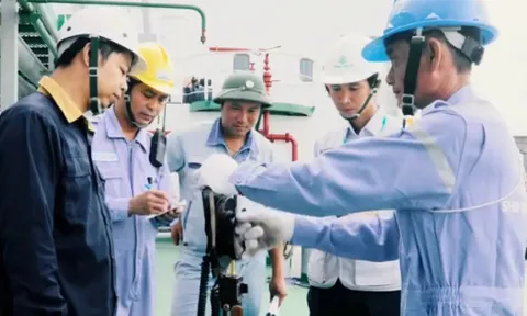 Tập đoàn Vinacontrol bị xử phạt và truy thu thuế hơn 145 triệu đồng