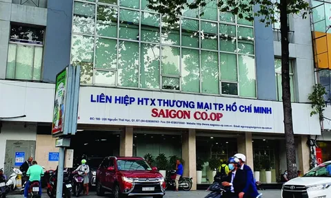 Cung cấp hàng hoá không đảm bảo chất lượng, SaiGon Co.op bị cấm thầu 3 năm