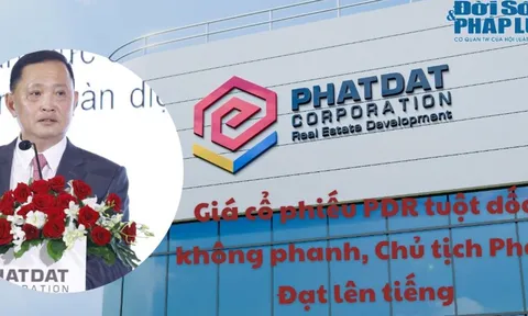Giá cổ phiếu PDR tuột dốc không phanh, Chủ tịch Phát Đạt lên tiếng