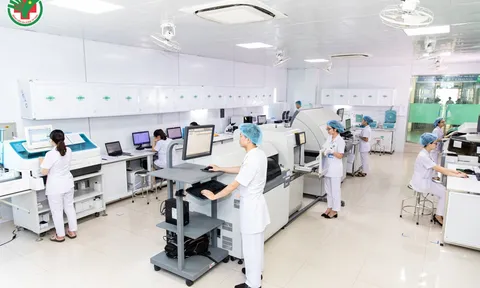 Hoá chất Thăng Long: Doanh thu trăm tỷ nhưng lợi nhuận nhỏ nhoi