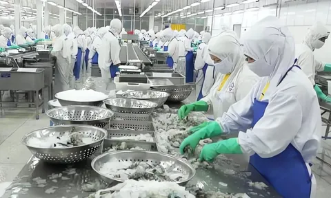 Một DN thuỷ sản kiệt quệ: Cổ phiếu giá 500 đồng, lỗ lũy kế 1.700 tỷ