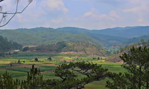 Chấm dứt chuyển nhượng dự án Sân golf và khu nghỉ dưỡng Đà Lạt