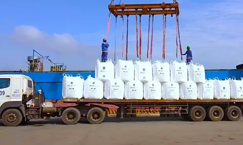 PVFCCo tăng trưởng ấn tượng trong tiêu thụ và mở rộng thị trường nửa đầu năm 2024