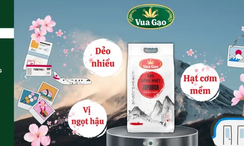 Tìm hiểu King Green: 'Vua Gạo' bị cấm đấu thầu vì bán hàng kém chất lượng