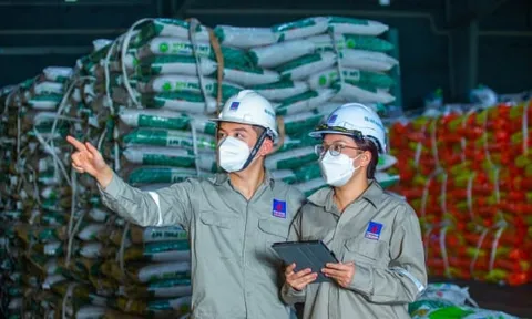 PVFCCo – Phú Mỹ chốt quyền chia cổ tức 15% bằng tiền mặt
