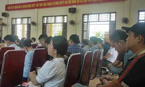 Nghệ An: Không công nhận kết quả trúng đấu giá 23 lô đất của kế toán xã