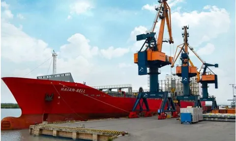 Vận tải và Xếp dỡ Hải An: Cổ phiếu tăng giá giữa lúc lợi nhuận giảm sâu