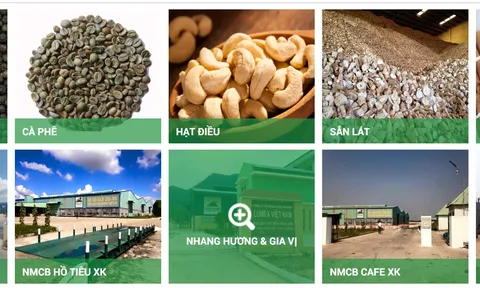 DN kinh doanh nông sản đầu tiên báo lỗ trong quý II/2024