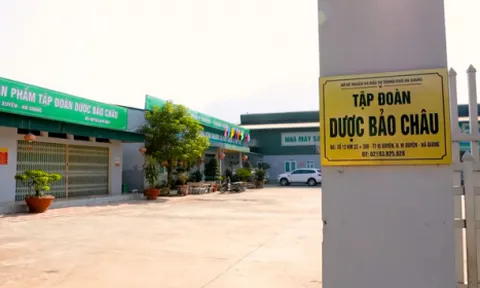 Tập đoàn Dược Bảo Châu và Công ty Phân bón Miền Nam bị phạt