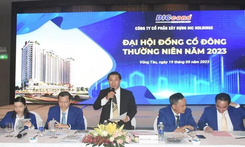 Vợ Chủ tịch DIC Holdings đăng ký mua 1 triệu cổ phiếu DC4