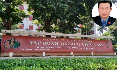 Lãi đậm 70 tỷ nhưng DABACO 'quên' nộp 22 triệu tiền thuế
