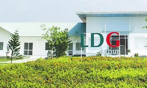Cổ phiếu LDG tăng mạnh sau khi cựu chủ tịch tái xuất