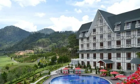 Công ty Sacom Tuyền Lâm xin nộp tiền chuyển đổi 5,3 ha rừng