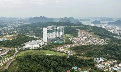 Quảng Ninh đánh tiếng thu hồi dự án, FLC nộp ngay 100 tỷ đồng vào ngân sách