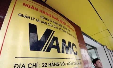 Thanh tra Chính phủ chỉ ra hàng loạt vi phạm tại VAMC về xử lý nợ xấu