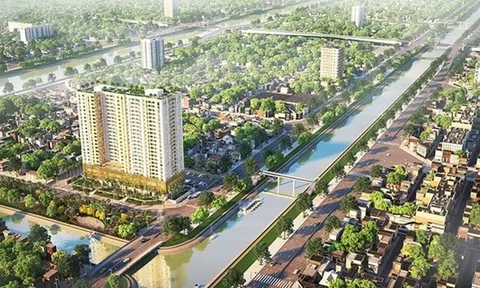 Đình chỉ kinh doanh với dự án Aurora Residences quận 8