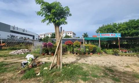 Nghệ An: Chấm dứt hoạt động, thu hồi đất đối với 225 dự án