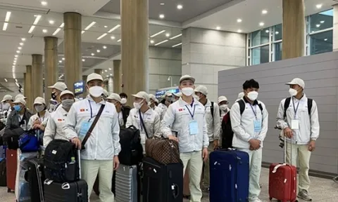 Xử phạt, tước giấy hàng loạt doanh nghiệp xuất khẩu lao động sai