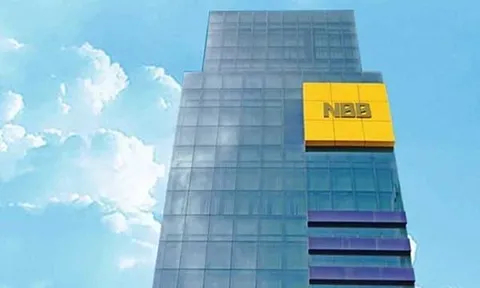 Doanh thu giảm 92%, Năm Bảy Bảy chỉ lãi hơn 400 triệu đồng trong quý II