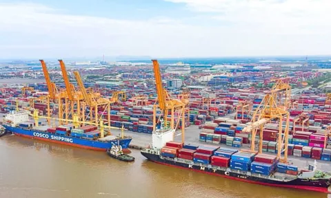 Quỹ Leadvisors không còn là cổ đông lớn tại Xếp dỡ Hải An