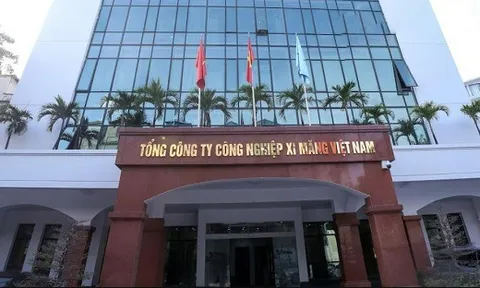 Vicem báo lãi bán niên giảm 13% về mức 1.108 tỷ đồng