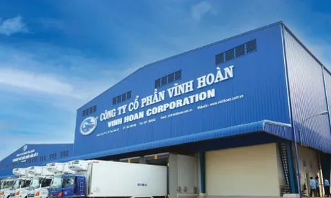 Lợi nhuận sụt giảm, công ty của “nữ hoàng cá tra" góp thêm 180 tỷ đồng vào công ty con