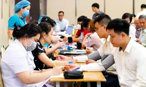 Hơn 200 cán bộ nhân viên THACO Văn phòng TP. HCM tham gia hiến máu tình nguyện đợt 2