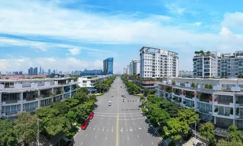 THADICO phát triển nhân sự có tư duy sáng tạo, trung thực và kỷ luật