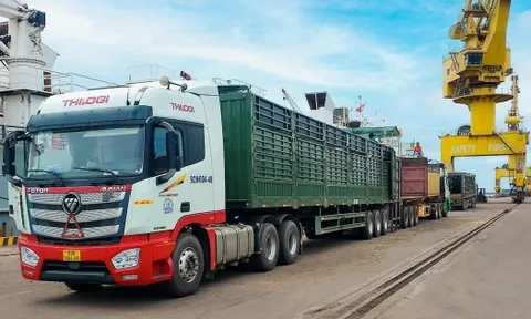 THILOGI đăng ký thành công giấy phép FMC