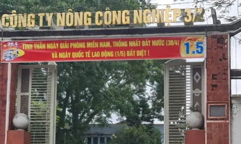 Nghệ An: Công ty Cổ phần Nông công nghiệp 3/2 “vỡ mộng” chủ trương tăng vốn điều lệ