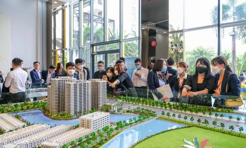 Giá căn hộ Hà Nội lập đỉnh, chạm mốc 91 triệu/m2