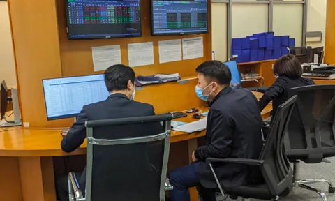 Công ty chứng khoán đầu tiên báo lỗ quý II/2022