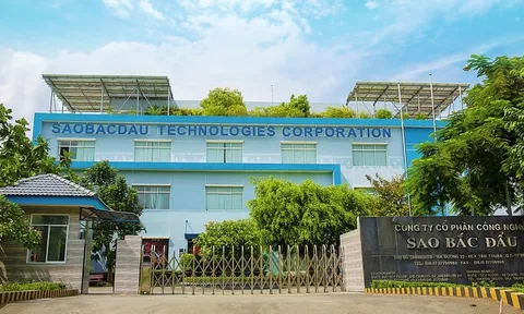 Sao Bắc Đẩu: Lãi suy giảm, nợ phải trả gấp 2,5 lần vốn chủ sở hữu