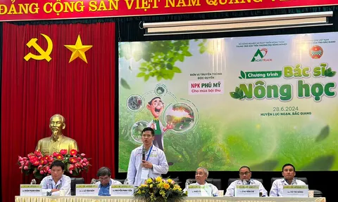 Tiến sĩ bắt bệnh - Đạm Phú Mỹ ra toa - Nhà nông phấn khởi
