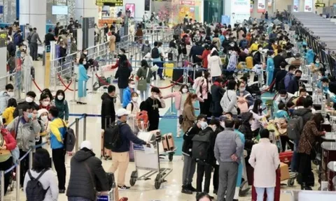 Cục Hàng không yêu cầu dừng thu tiền làm thủ tục ưu tiên tại sân bay