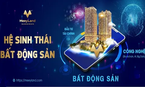 Tập đoàn Meey Land của ông Hoàng Mai Chung: Vốn chủ sở hữu 30 tỷ đồng, nợ phải trả lên tới hơn 590 tỷ đồng