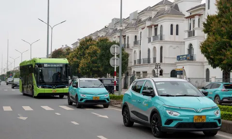 Tại sao các doanh nghiệp vận tải đồng loạt chuyển sang dùng xe điện?