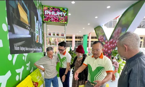 DPM chốt quyền chia cổ phiếu tỷ lệ 73,7%, sản lượng sản xuất và kinh doanh vượt xa kế hoạch nửa đầu năm