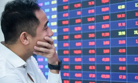 Cổ phiếu LDG 'sập sàn', nhà đầu tư FOMO nhận trái đắng