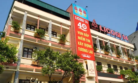 Licogi 14 đang lỗ gần 380 tỷ khi tất tay cổ phiếu DIG và CEO