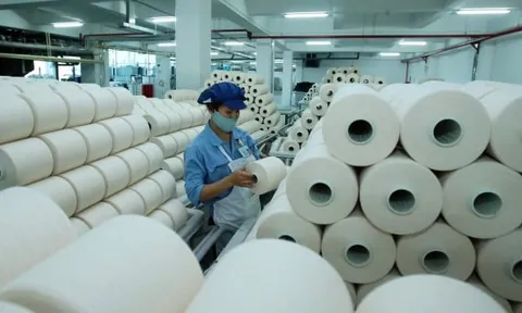 Sợi Thế Kỷ lỗ sau thuế gần 56 tỷ trong quý 2