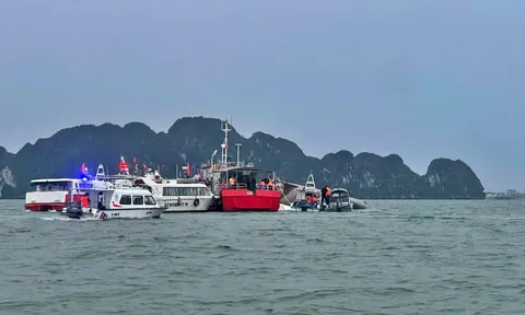 Bảo hiểm chi trả tối đa 30 triệu/nạn nhận vụ tàu Vịnh Xanh 58 bị chìm