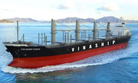 Lợi nhuận Vinaship giảm hơn 99% trong quý 2/2025