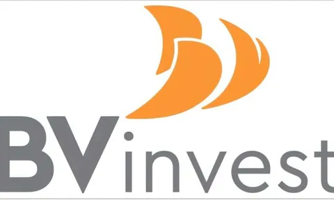 Cưỡng chế tài khoản BV Invest để thu khoản nợ thuế 1,1 tỷ đồng
