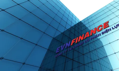 EVNFinance Đà Nẵng mắc những lỗi gì trong quá trình cho vay?