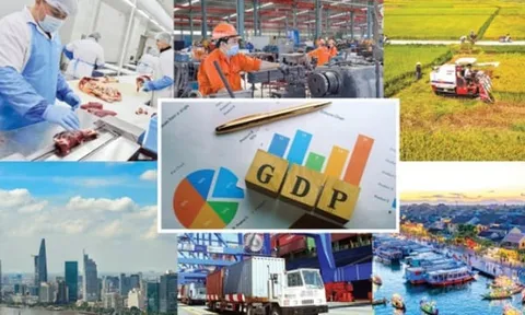 ADB hạ dự báo tăng trưởng GDP Việt Nam 2025