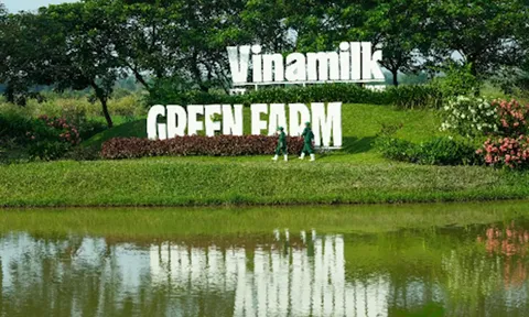"Mở khoá tự nhiên": Vinamilk biến rào cản thành vòng tuần hoàn xanh tại trang trại sinh thái